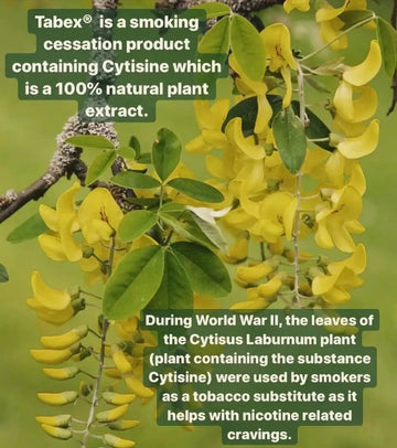 Tabex Offizieller | Hören Sie mit dem Rauchen auf | Tipps gegen das